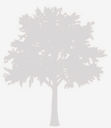 Seymour Duncan SL59-1B Little ’59™ Strat - Blanc